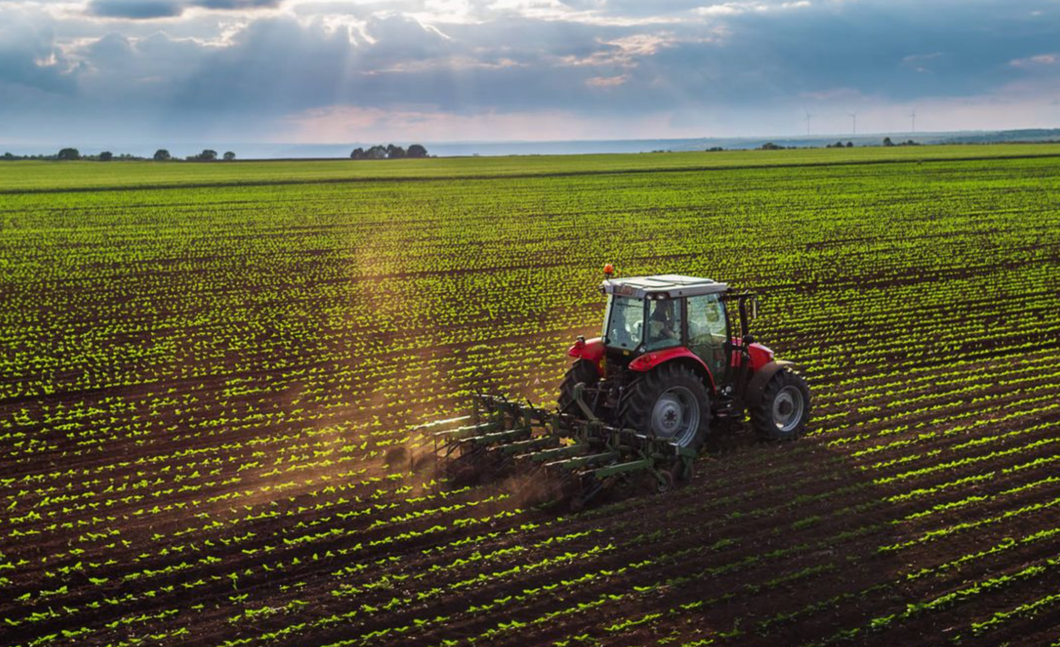 Gobierno de México detiene la prohibición del glifosato en el campo